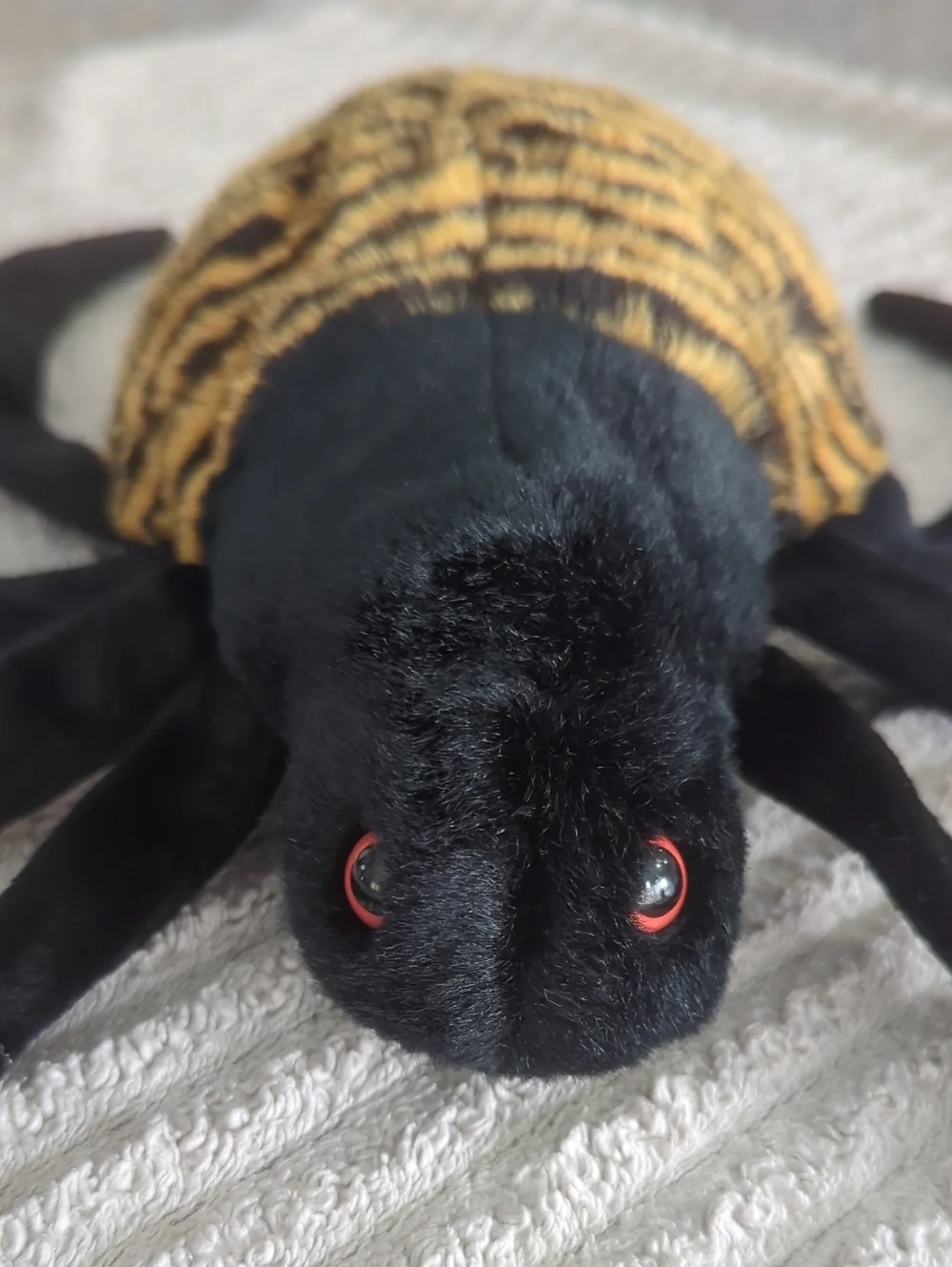 Ty Beanie Baby - Spinner